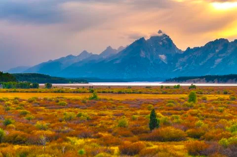 Fall in grand tetons Stock Photos