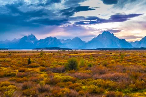 Fall in grand tetons Stock Photos