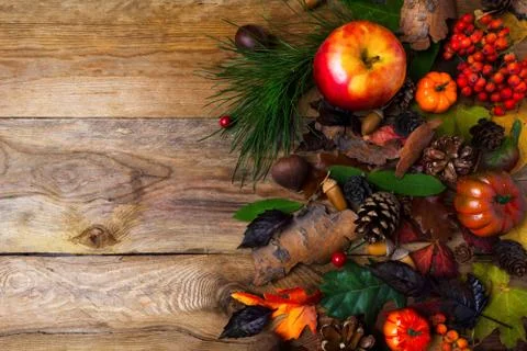 Fall greeting with cones on wooden table Stock Photos