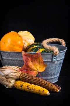 Fall harvest background with pumpkins Stock Photos