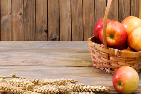 Fall harvest close up colorful frame or banner Stock Photos