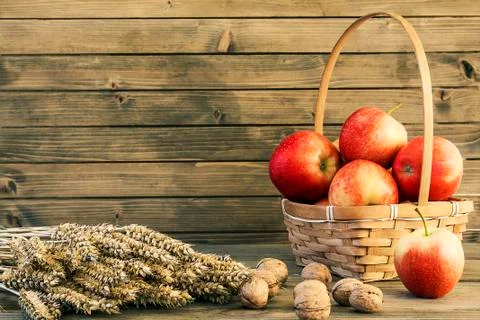 Fall harvest close up colorful frame or banner Stock Photos
