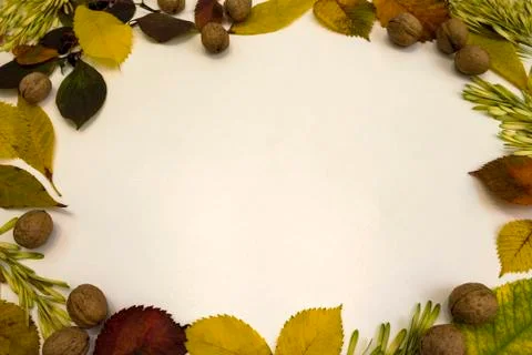 Fall harvest close up colorful frame or banner Stock Photos