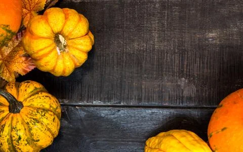 Fall harvest cornucopia. Pumpkin fruit in Autumn season for halloween and tha Фото