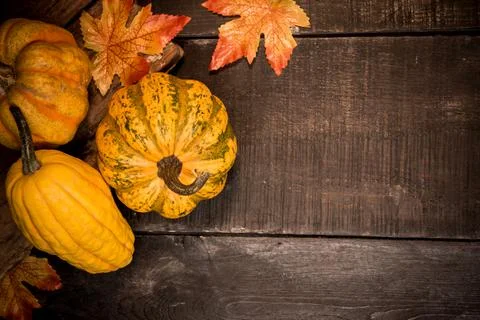Fall harvest cornucopia. Pumpkin fruit in Autumn season for halloween and tha Фото