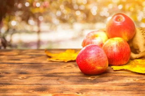 Fall harvest cornucopia. Red apples in the garden. Stockfoto's