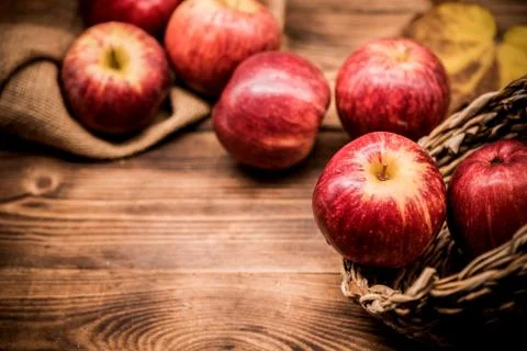 Fall harvest cornucopia. Red apples in the garden. 写真素材