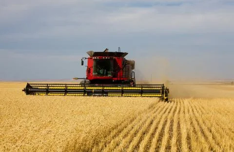 Fall harvest Stock Photos