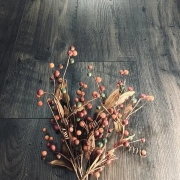 Fall harvest Stock Photos