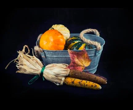 Fall harvest with pumpkins Stock Photos