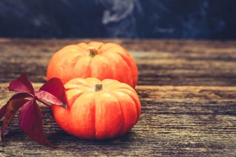 Fall harvest of pumpkins Stock Photos