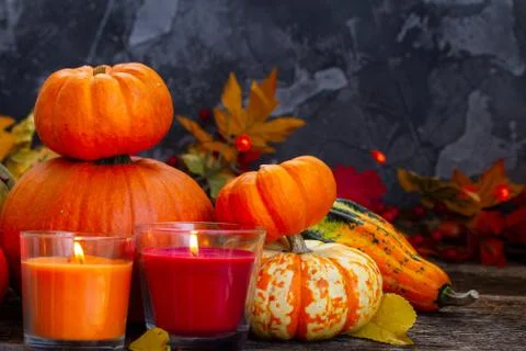 Fall harvest of pumpkins Stock Photos