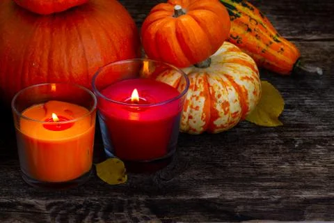 Fall harvest of pumpkins Stock Photos