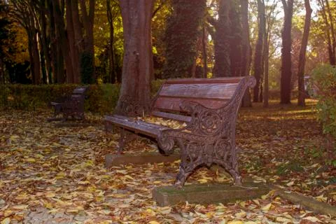 Fall in her splendor Stock Photos