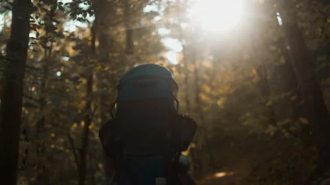 Fall Hike with Child Carrier Stock Footage 144365034