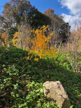 Fall hike 库存照片