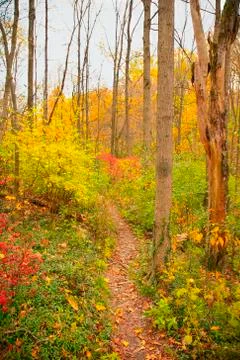 Fall hiking trail Stock Photos