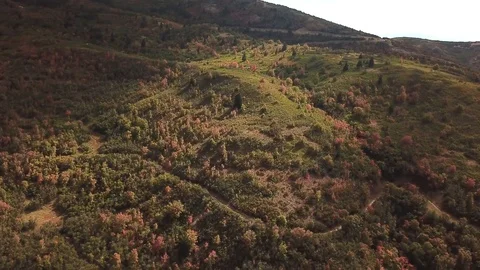 Fall hills at dusk Stock Footage 91553557