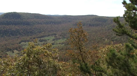 Fall Hillside 1 Video stock 912668