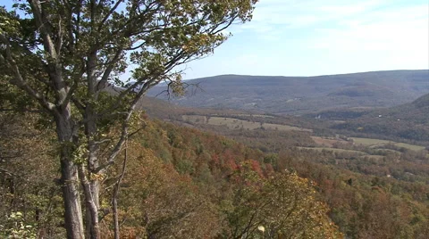 Fall Hillside 2 Video stock 912698