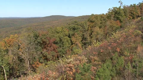Fall Hillside Pan 1 Video stock 913104