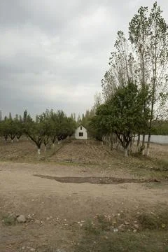 Fall, house, autumn, tree 스톡 사진