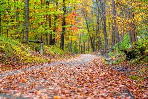 Fall image of a long paved trail extending in the distance. Foto stock