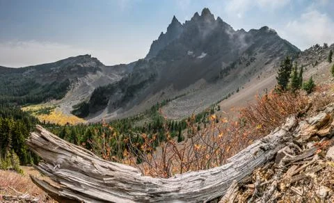 Fall Inside - Fall colors inside  the Three-Fingered Jack crater. Stock Photos