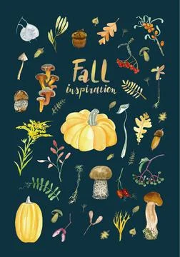 Fall inspiration watercolour elements on the dark blue background for your 스톡 일러스트