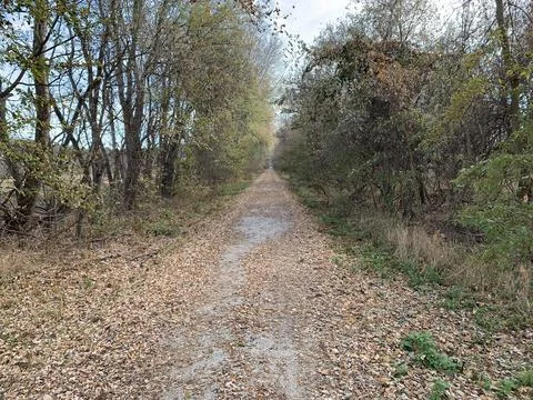 Fall on the Katy Trail Stock Photos
