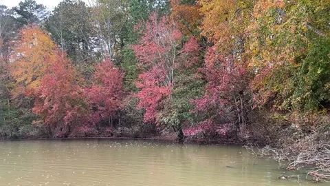 Fall in the lake 3 Stock Footage 260206012