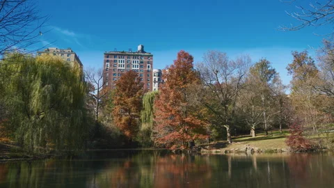 Fall at the Lake in Central Park New York City Stock Footage 243538628