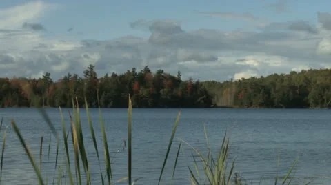 Fall lake 動画素材 10830655