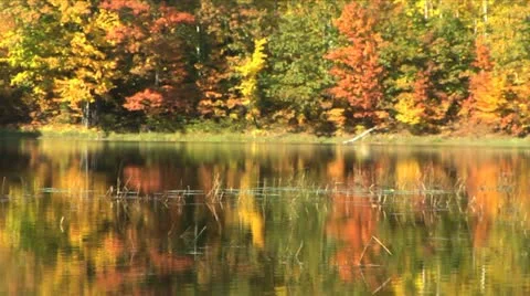 Fall Lake Видео 12019703