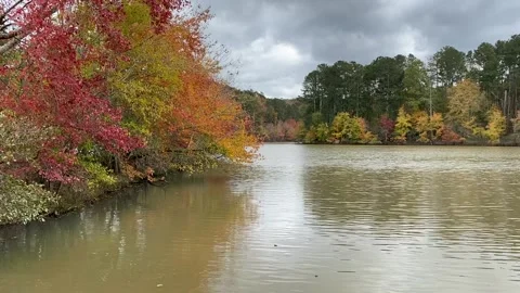 Fall in the lake Stock Footage 260199006