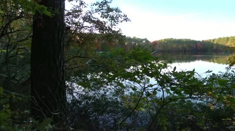Fall lake pan Video stock 12527799