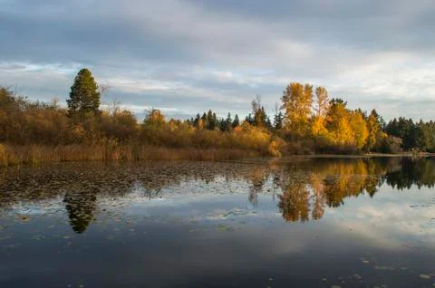 Fall on the lake Stockfoto's