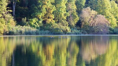 Fall Lake Stock Photos