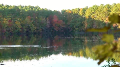 Fall lake rack focus Stock Footage 12527671