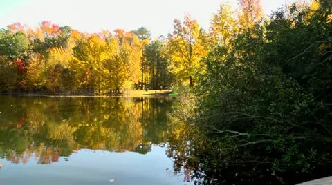 Fall lake reflection Video stock 12537622