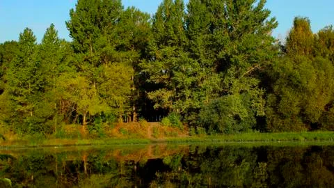 Fall lake reflection of trees beautiful view nature autumn Stock Photos