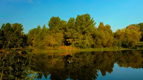 Fall lake reflection of trees in lake Stock Photos