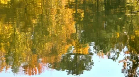 Fall lake reflection2 Stock Footage 12537149