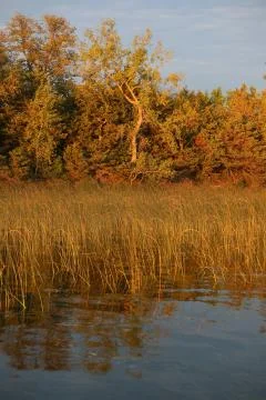 Fall lake shore Stock Photos