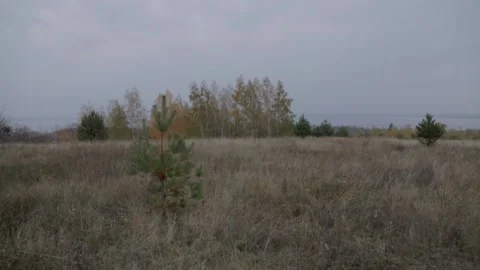 Fall landscape Stock Footage 227740896