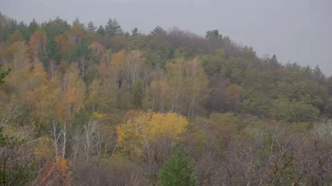 Fall landscape Stock Footage 227740912