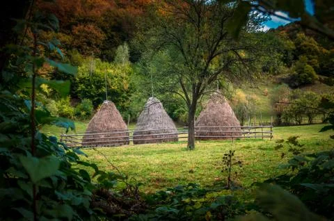 Fall landscape in the mountains Stock-Fotos
