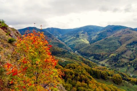 Fall landscape in the mountains Stock Photos