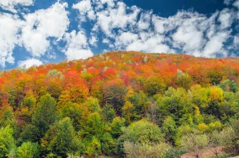 Fall landscape in the mountains Stock Photos