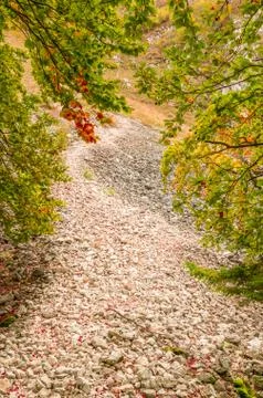 Fall landscape in the mountains Stock Photos
